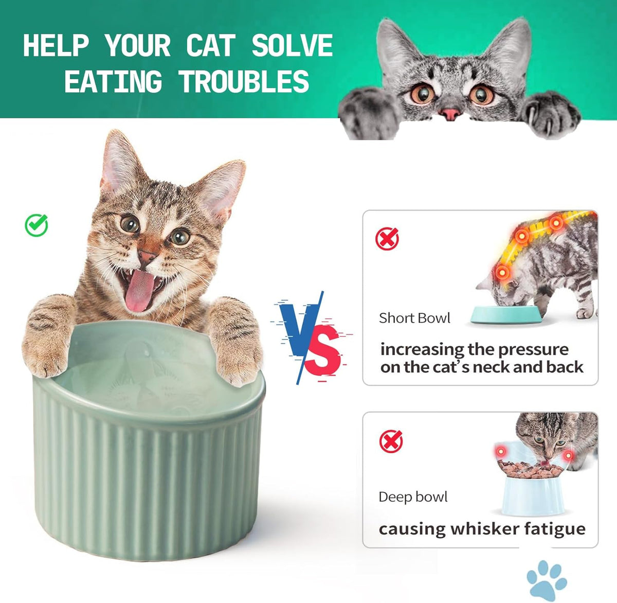 Elevated cat bowl