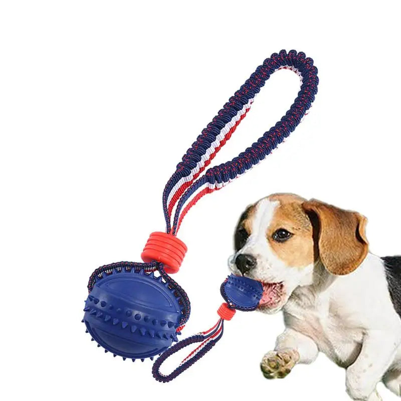 Chew Ball on a Rope Handle