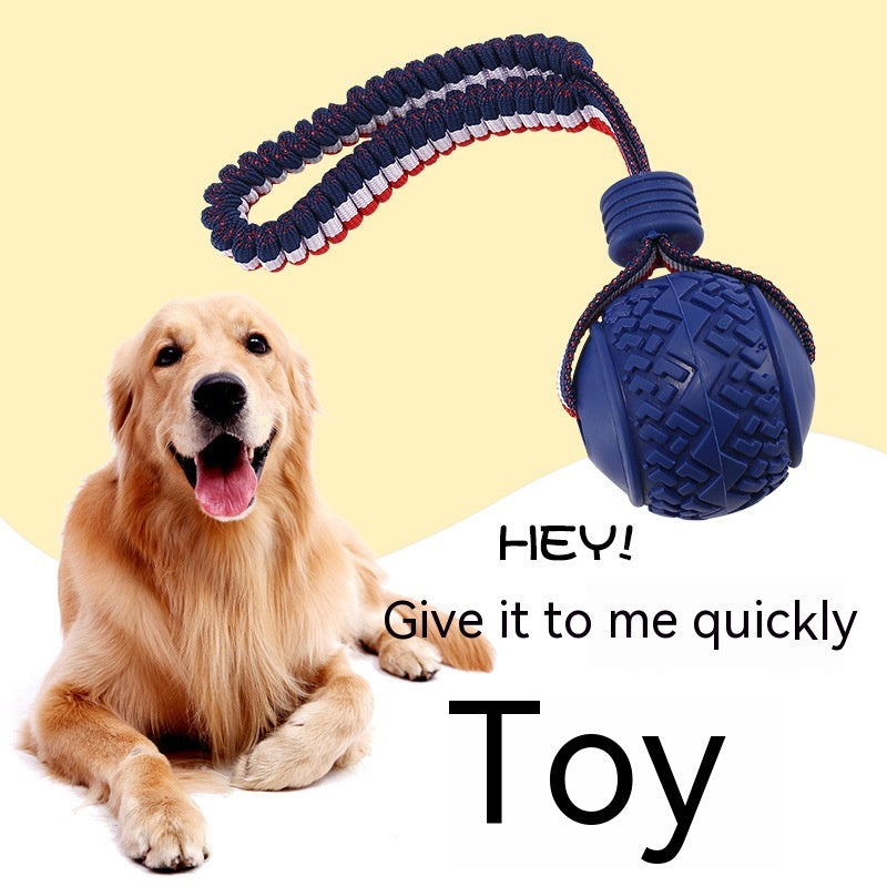 Chew Ball on a Rope Handle