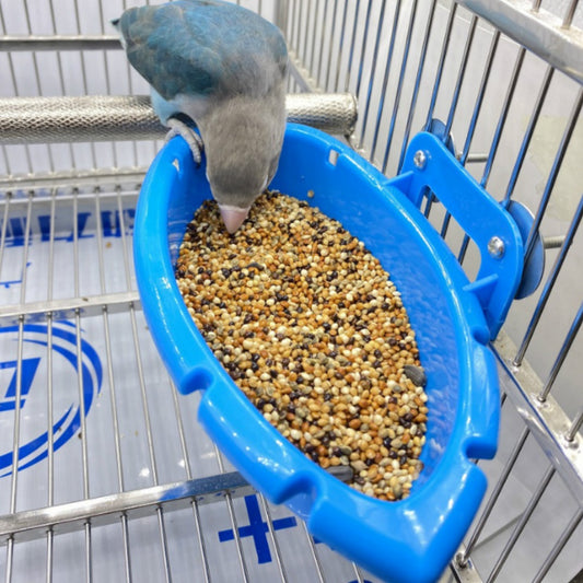 Hang-On Bird Bath