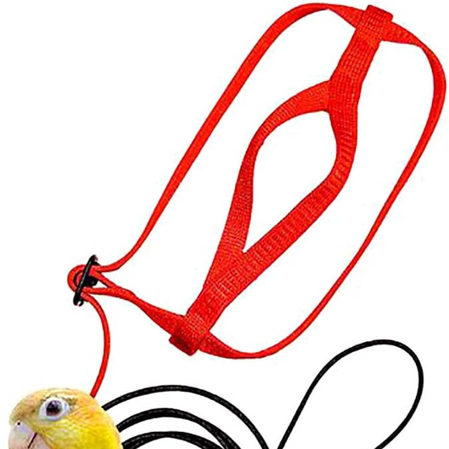 Bird Flight Harness & Leash