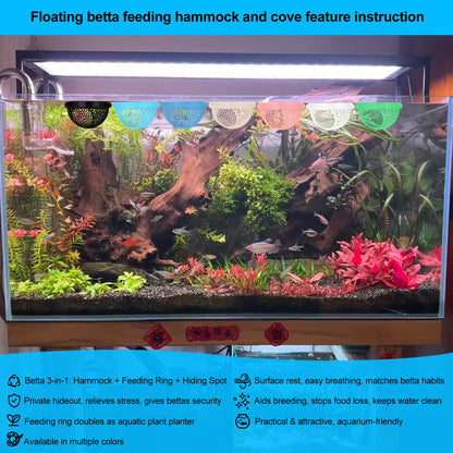 Betta log colors