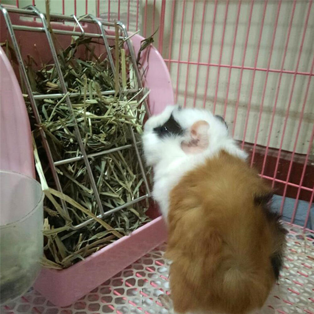 Spring-Lid Hay Rack for Rabbits & Guinea Pigs