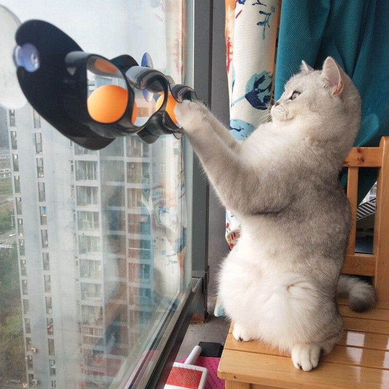 Window Track-Ball Cat Toy