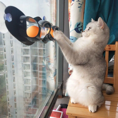 Window Track-Ball Cat Toy