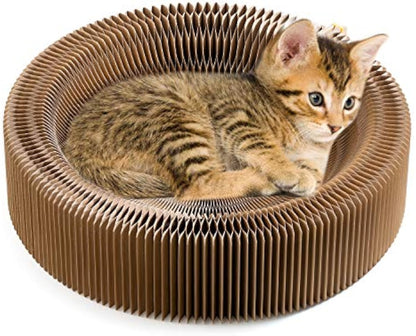 Round Cardboard Cat Scratcher Bed