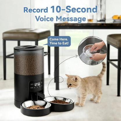 Record a 10-second voice message