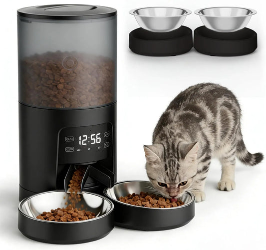 Automatic feeder with a cat eating