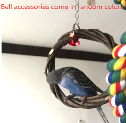 Budgie on the ring swing