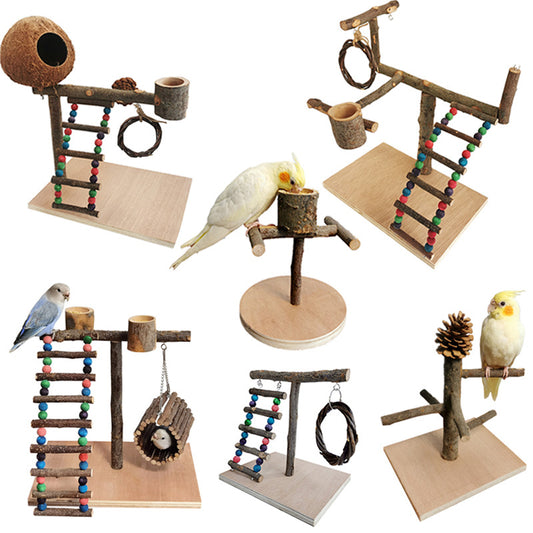 Tabletop Bird Play Stand — 3 Styles