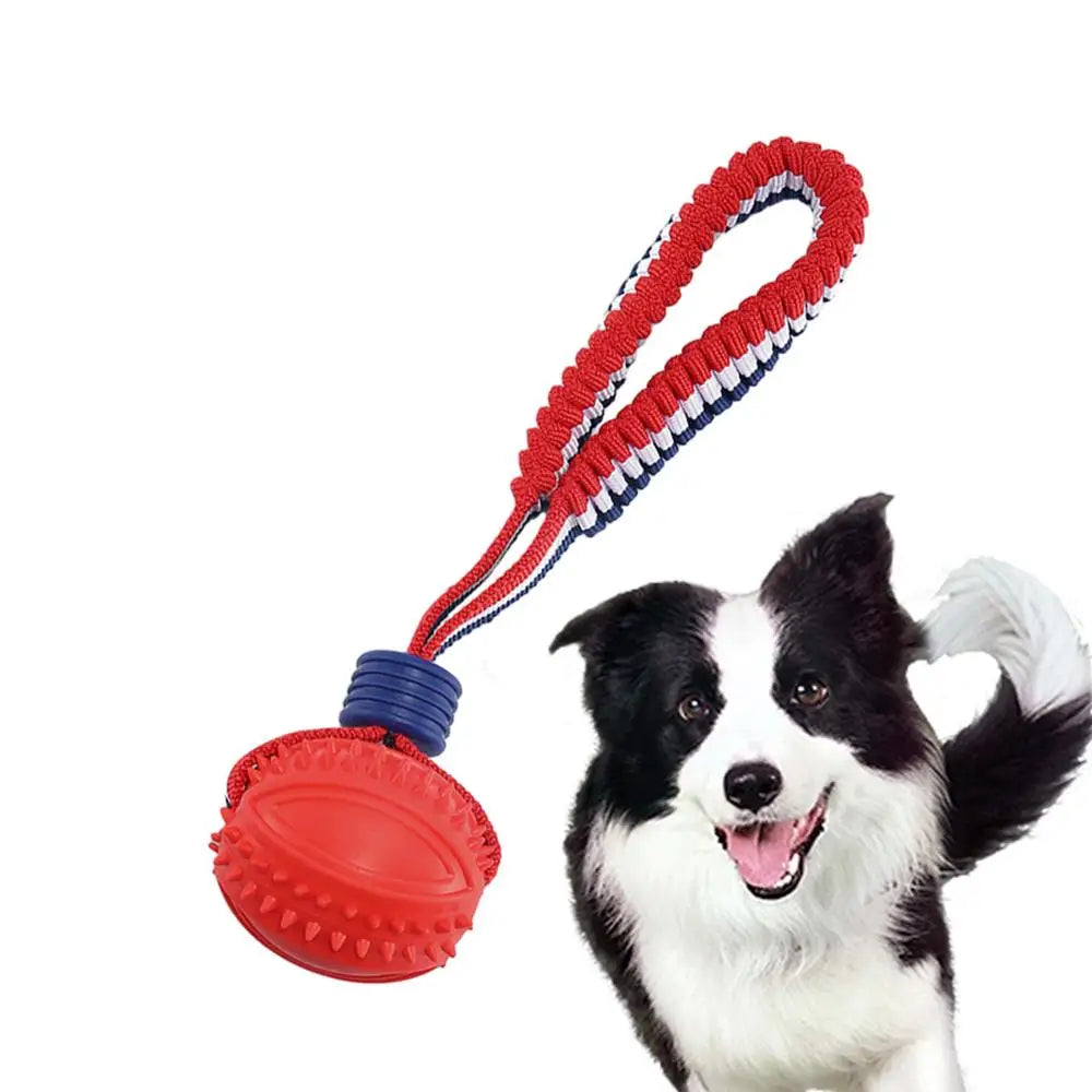 Chew Ball on a Rope Handle