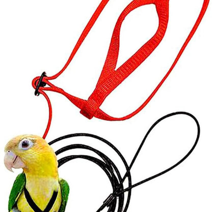 Bird Flight Harness & Leash