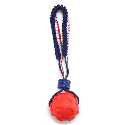 Chew Ball on a Rope Handle