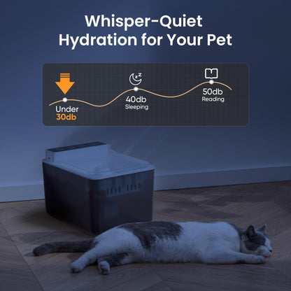 Whisper-quiet pump