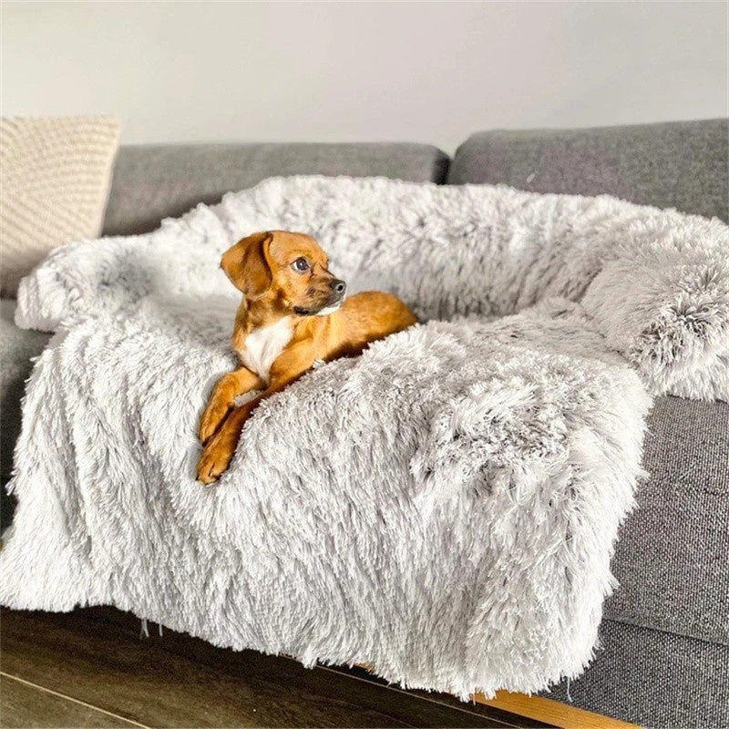 The new-pet starter kit