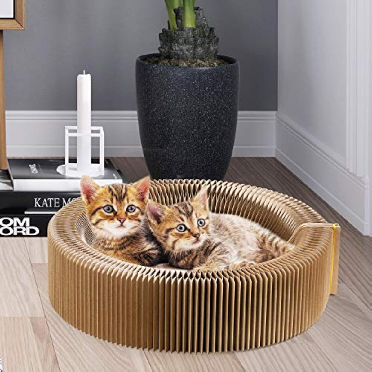 Round Cardboard Cat Scratcher Bed