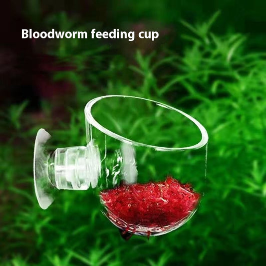 Clear Bloodworm Feeding Cup with Suction Cup