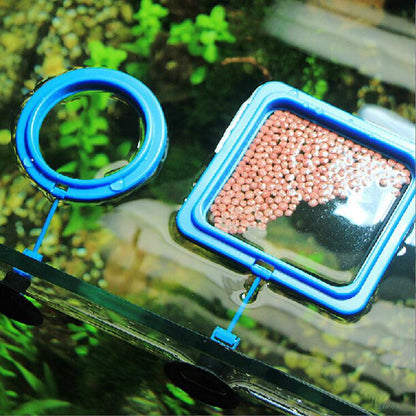 Floating fish feeding ring