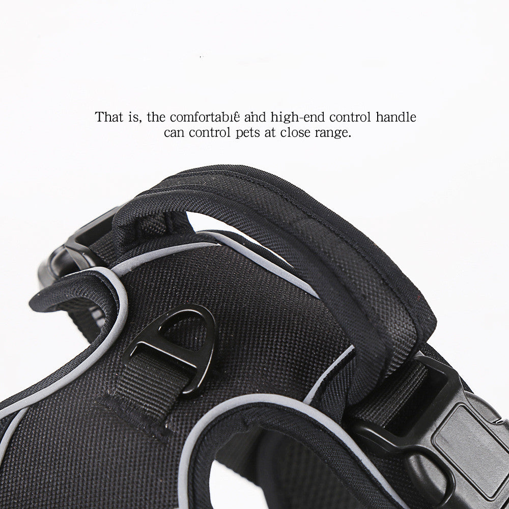 Dog harness detail