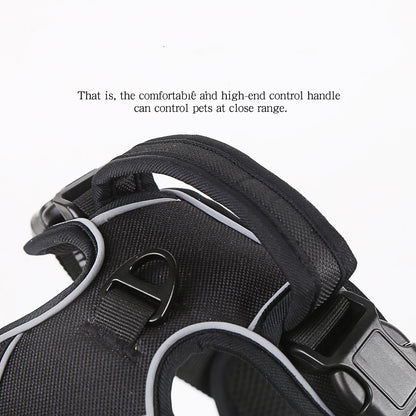 Dog harness detail