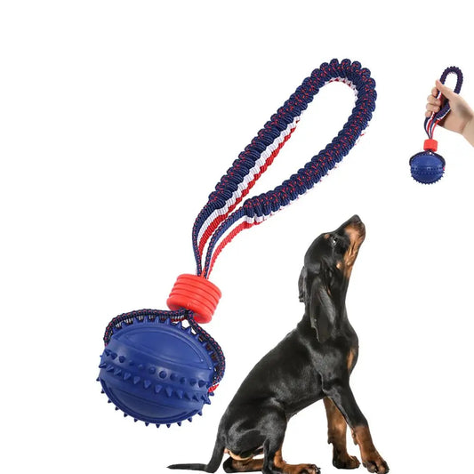 Chew Ball on a Rope Handle
