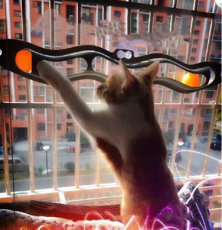 Window Track-Ball Cat Toy