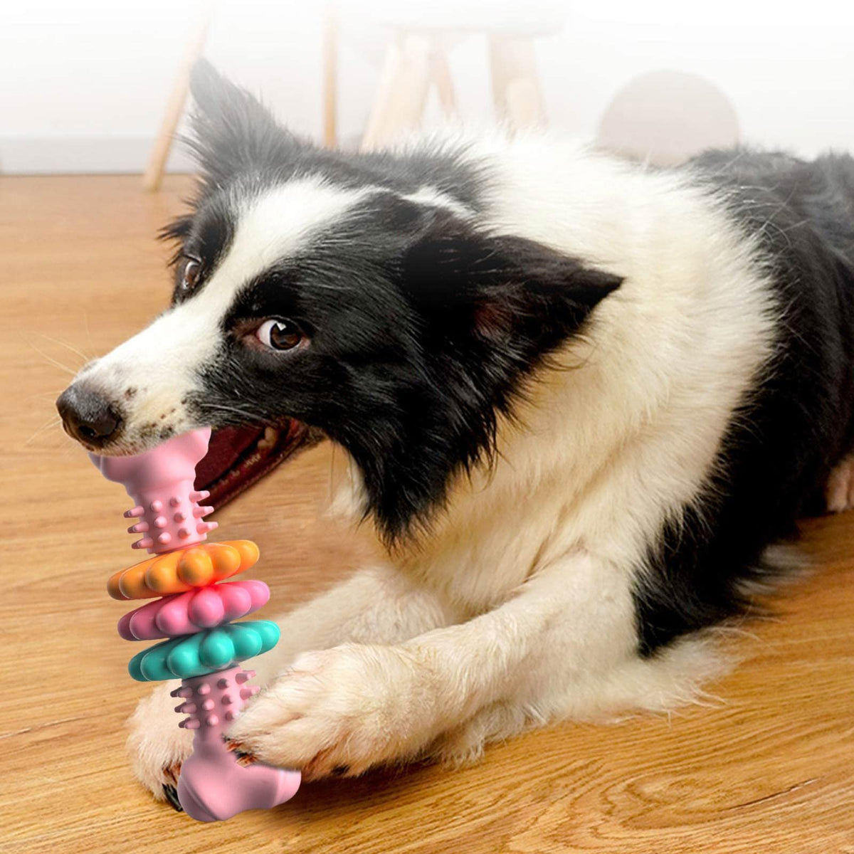 TPR Chew Bone with Spinning Rings