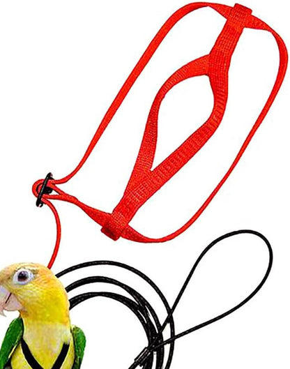 Red flight harness with elastic leash