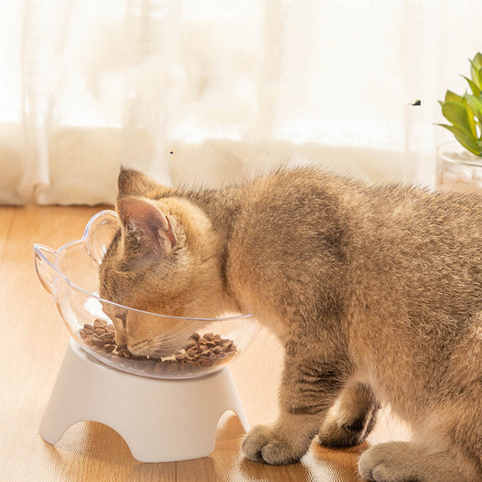 Cat eating from the raised tilted bowl