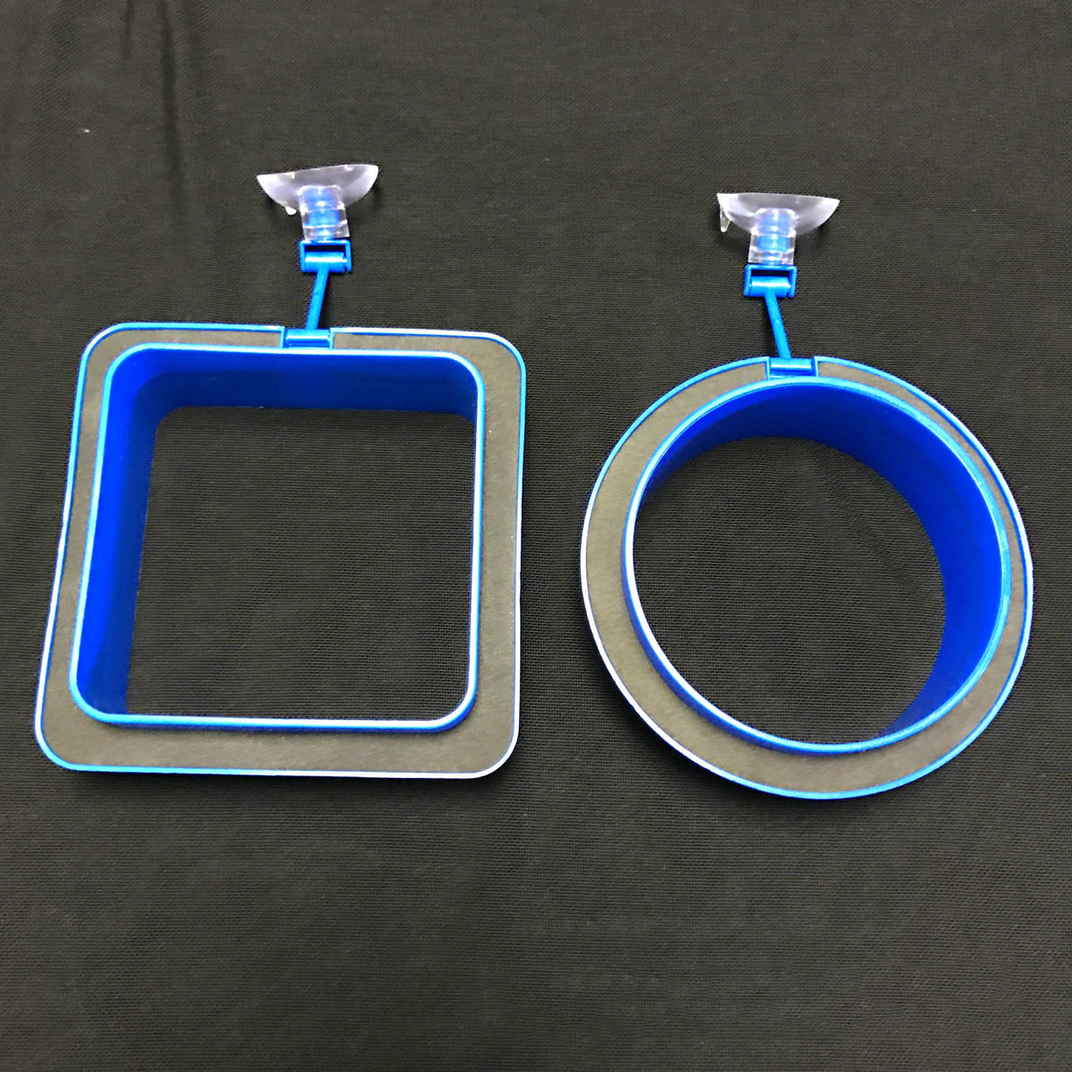 Floating Fish Feeding Ring