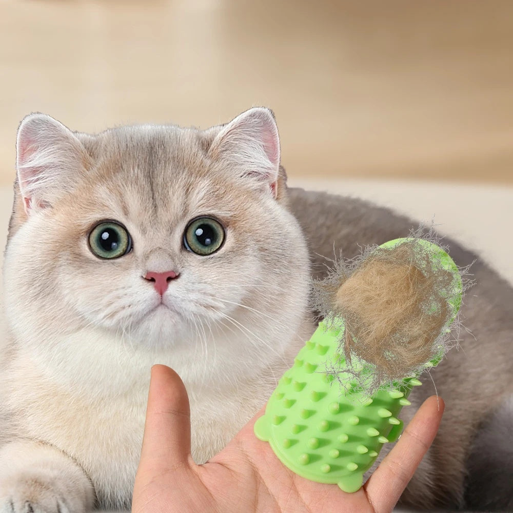 Self-Grooming Rub Brush for Cats
